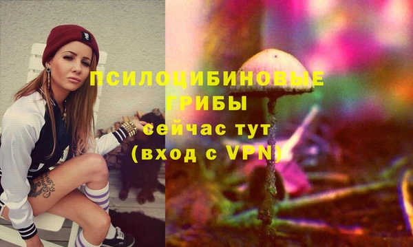 а пвп мука Нея