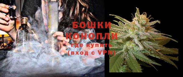 гашик Нефтекумск