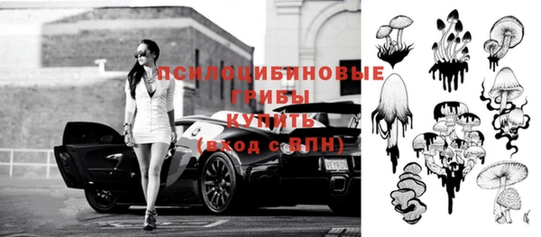 ешки Алзамай