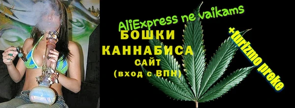 ешки Алзамай